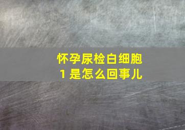 怀孕尿检白细胞1 是怎么回事儿